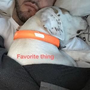 Meet your Posher, Mitch